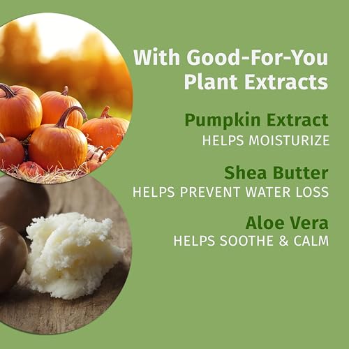 Hempz Spiced Pumpkin Pie Lip Balm, Nourishing Lip Care, Limited Edition Gloss, .44 fl.oz.