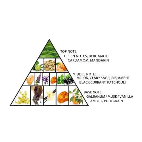 Al Haramain Green Dubai for Unisex - Arabian Perfume for Women and Men - Floral Woody Musk Fragrance - Long Lasting Arabic Cologne - Extrait De Parfum - 3.33 oz EDP Spray