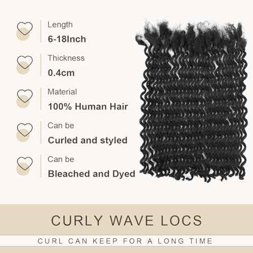 DAIXI Curly Wave Loc Extensions Human Hair, 100% Real Human Hair Dreadlock Extensions for Man/Women Handmade Permanent Dread Extensions Can Be Dyed Bleached Twisted (0.4cm, 1B, 12 Inch 20 Strands)