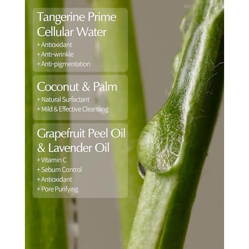 LBB 4-in-1 Micro Foam Cleanser - pH 5.5 Face Cleansing Milk to Bubble Foam - Gentle, Hypoallergenic Deep Cleansing with Moisturizing Finish - Anti Aging Tangerine Cellular Water, 3.38 fl.oz.