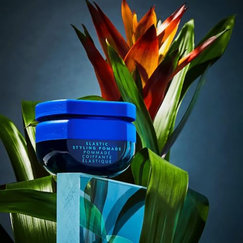 R+Co BLEU Elastic Styling Pomade ? Adds Piecey Texture, Structure, and Separation, Pliable Light Hold for Short and Long Hair, Re-invent Your Style, 1.7 oz