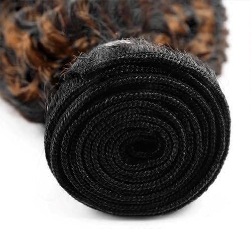 Fridnae Light Brown P1B/30 Curly Wave Human Hair Bundles 26 Inch - Double Weft Brazilian Virgin Remy Hair