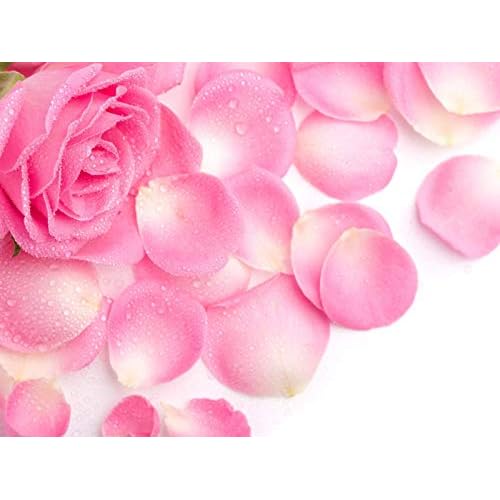 Rose Petal Powder 8 oz | Ideal for Face Packs & DIY Beauty Care | Make Tea, Smoothies or Lattes | Excellent Choice For Skin Care | by Yogi¡¯s Gift¢ç