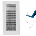 Premade Lash Fans 3D 5D C/D Curl, 0.07mm, 8-15mm Mix