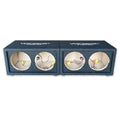 VOICEBOX 4 Horn Speaker Cabinet Box – 2" Driver