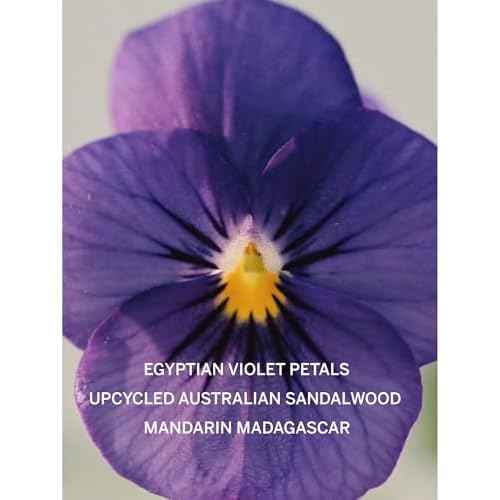 Victoria's Secret Bare Fragrance Mini Mist, Notes of Australian Sandalwood, Mandarin Madagascar & Egyptian Violet, Body Spray for Women (2.5 oz)