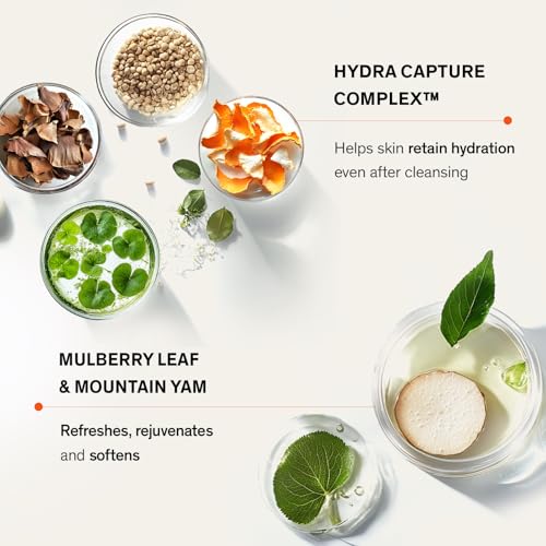 Sulwhasoo Gentle Cleansing Foam ? Hydrating Daily Gel-to-Foam Facial Cleanser with Korean Herbal Ingredients Removes Makeup, Dirt & Impurities, Softens & Refreshes Skin Korean Skincare Face Wash