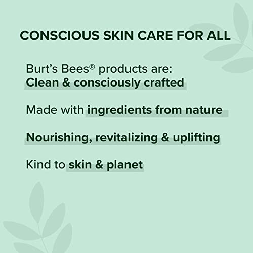 Burt's Bees Lip Shine Gloss - Whisper Natural Moisturizing