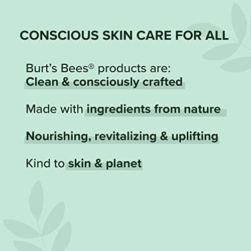 Burt's Bees Gifts Ideas - Essential Everyday Beauty Set, 5 Travel Size Products - Deep Cleansing Cream, Hand Salve, Body Lotion, Foot Cream and Lip Balm