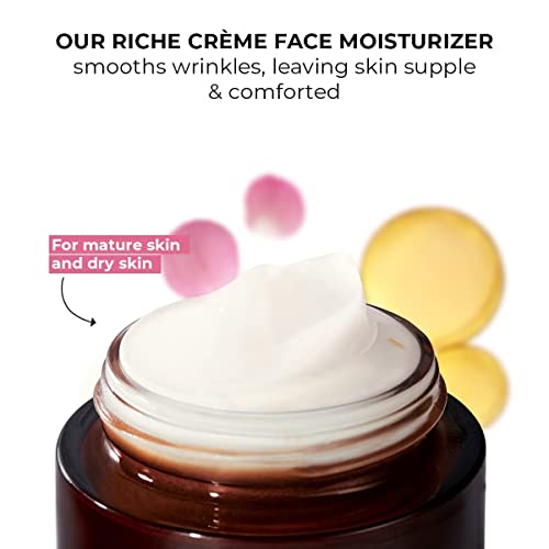 Yves Rocher Comforting Anti-Wrinkle Riche Cr?me (Day) | Face Cream to Soften & Smooth Skin | 1.7 fl oz