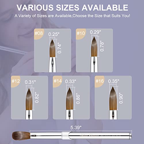 2Pcs Acrylic Nail Art Brushes Size 8 12, 100% Pure Kolinsky Hair Oval Nail Brush for Acrylic Application, Professional Nail Extension Manicure Tool Striping Nail Drawing Pen for Home