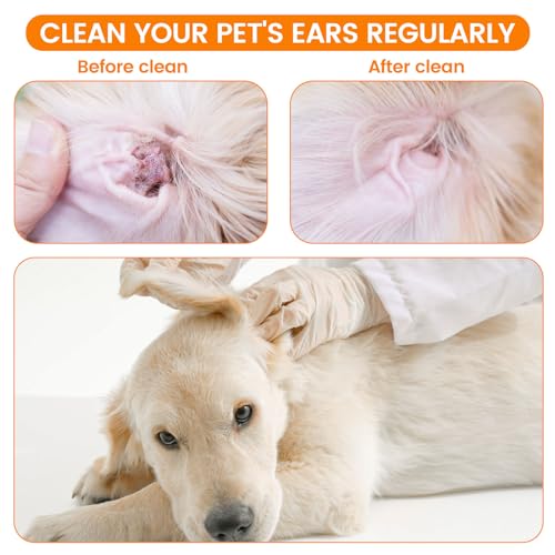 200 PCS Large Cotton Swabs for Dog Ear Cleaning - 6" Long
