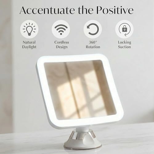 Fancii 10X Magnifying Makeup Mirror with LED Daylight