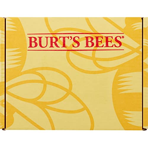 Burt's Bees Rescue Lip Relief Lip Balm, With Shea Butter and Echinacea, Tint-Free, Natural Origin Lip Care, 3 Tubes, 0.35 oz.