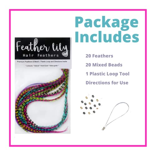 Rainbow Rooster Feather Hair Extensions Kit - 20 Feathers