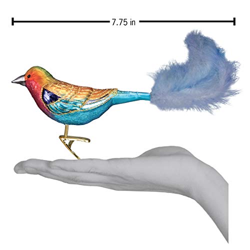 Old World Christmas Lilac-Breasted Roller Glass Blown Ornament for Christmas Tree, Handcrafted Holiday Decoration, Bird Watcher Clip Collection