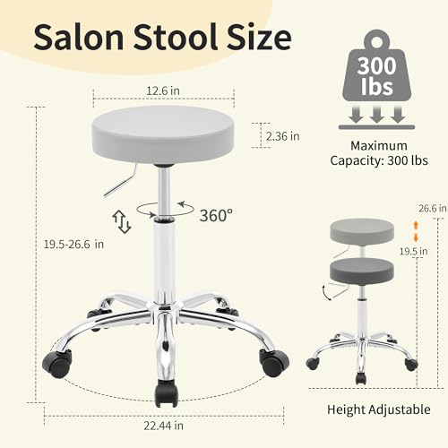 Rolling Stool Adjustable Height 19.5¡¯¡¯-26.6¡¯¡¯,Tattoo Chair for Artist, Gray Stool for Hairstylist (Gray)