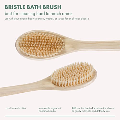 EcoTools Bath Brush with Long Handle | Exfoliating Shower Brush
