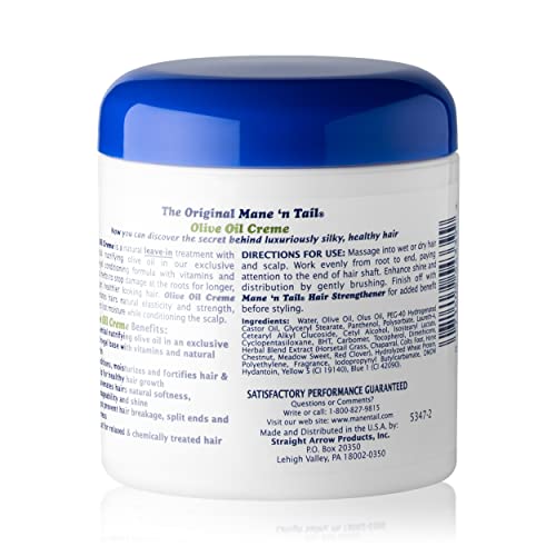 AGADIR Hair Shield 450 Intense Creme Treatment, 10 Fl Oz