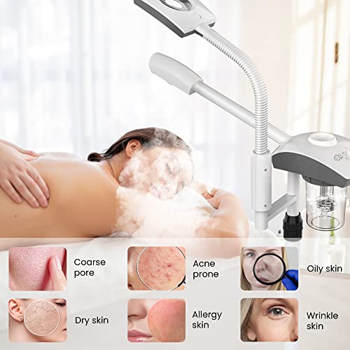 Professional 2-in-1 Facial Steamer with 3X Magnifying Lamp