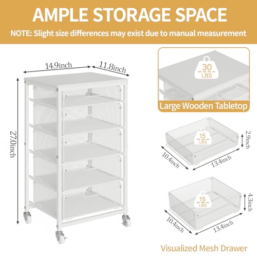 Sbanmao 5-Drawer Rolling Storage Cart with Lockable Wheels