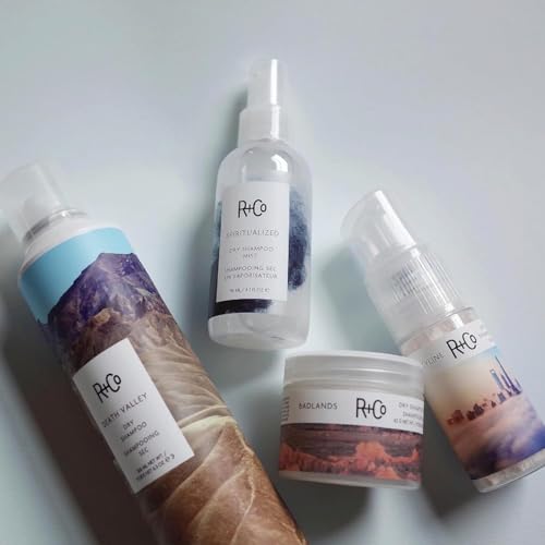 R+Co SKYLINE Dry Shampoo Powder ? Oil-Absorbing & Volumizing Hair Powder, Refreshes Hair Between Washes, All Hair Types