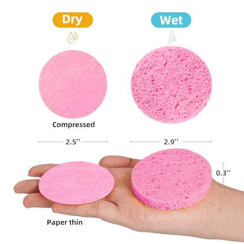 50-Count Compressed Cellulose Facial Sponges for Cleaning & Exfoliation