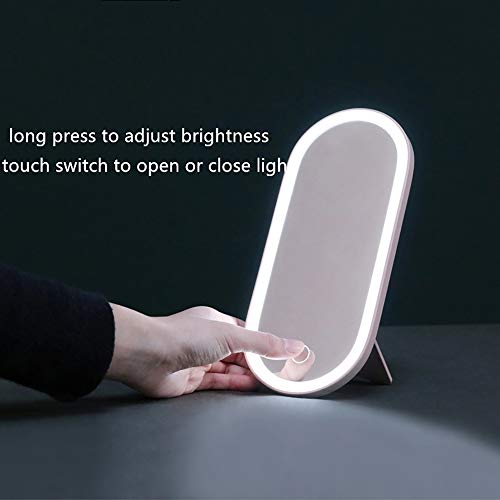 Travel Makeup Organizer Box with LED Mirror, Portable Makeup Case Touch Switch Home Cosmetic Box Jewelry Organizer Birthday Valentine's Day Gift for Women Girls,Pink