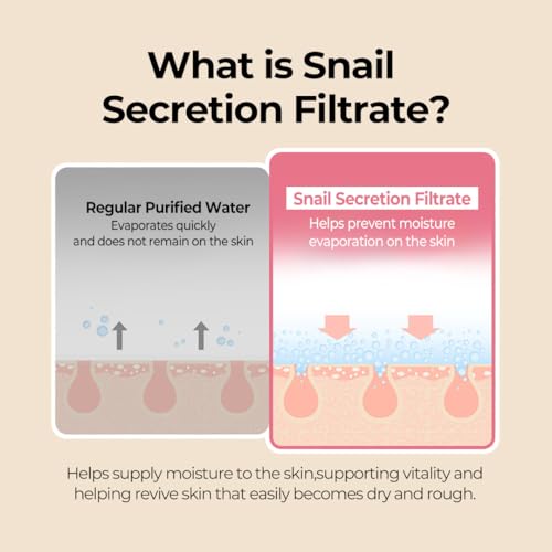 Expert Snail Mucin Cream with Niacinamide, Ceramide Complex, Dual Radiance Moisturizer Ideal for Use After Spot Care, Uneven Skin Tone & Hydration, Korean Skincare 1.85 fl oz