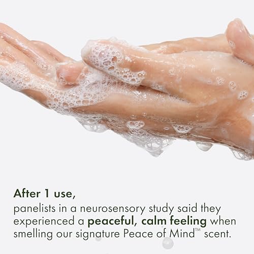 Origins Peace of Mind Daily Body Wash | Cleanses Skin & Awakens Your Senses| With Our Signature Scent of Peppermint, Basil and Eucalyptus, 6.7 Fl Oz