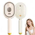 3-in-1 Electric Spray Air Cushion Massage Comb for Frizzy Hair