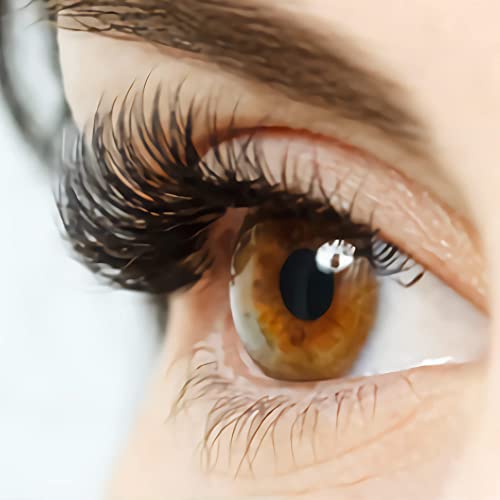 20D Cluster Lashes 240pcs Mix 9-14mm C Curl Extensions