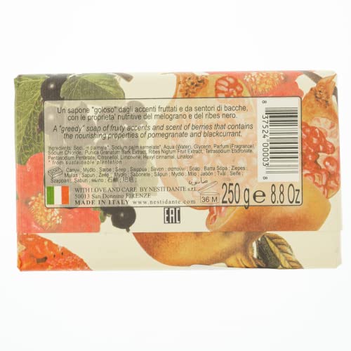 Nesti Dante Nesti dante il frutteto nourishing soap - pomegranate and blackcurrant, 8.8oz, 8.8 Ounce