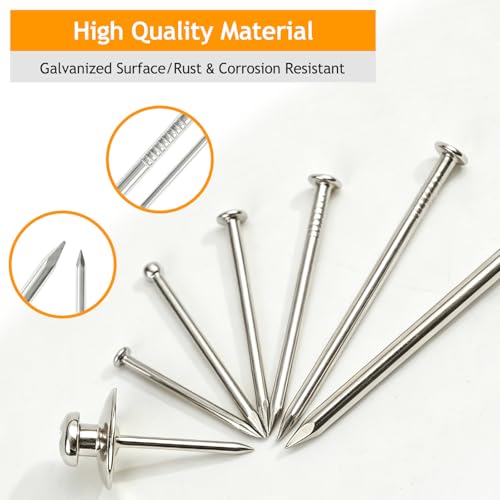 KURUI 340 Pcs Picture Hanging Nails Assortment Kit - 7 Sizes