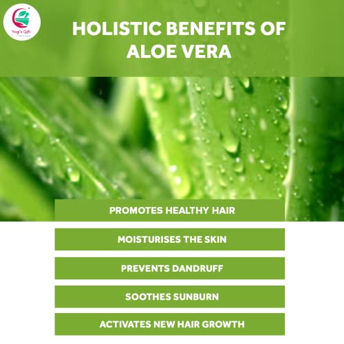 Aloe Vera Powder 8 oz - Pure Moisturizing Skin & Hair Mask