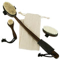 Vive Dry Brush Set for Lymphatic Drainage (3 Pieces) - Brushing Scrubber for Exfoliating, Body Cellulite and Skin Massage - 100% Natural Boar Hair Bristles, 14¡± Long Dark Wooden Handle w/Storage Bag