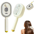 Electric Misting Detangler Brush with Air Cushion & Scalp Massage