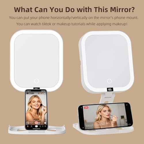 Travel Makeup Mirror with Lights, 1X/10X Magnification, Rechargeable
