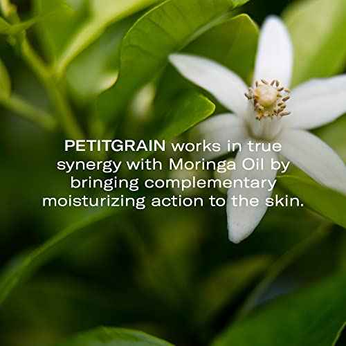 Odacit? Hydrating Serum Concentrate with Moringa + Petitgrain - Serum for Very Dry Skin - Face Oil Concentrate for Moisturizing & Hydrating Dry Skin or Chapped & Cracked Skin - 0.17 fl. Oz