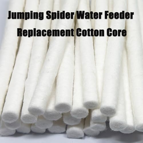 Jumping Spider Water Fountain Cotton Rolls - 30 Pack