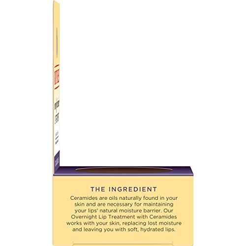 Burt's Bees Overnight Intensive Lip Treatment, 0.25 oz - Moisturizing, Restorative, Reduces Fine Lines, Vitamin E, Ceramides Oils, Leaping Bunny Certified, Compact Jar