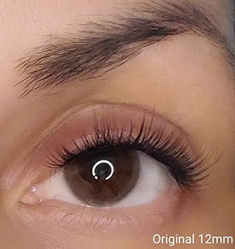 Lilac St - Original Lashes - Soft, Natural Look - Lightweight & Reusable - Vegan & Cruelty Free - 12mm