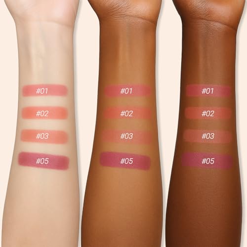 Erinde Matte Lipstick Crayon - 24 Hour Waterproof Lip Liner, Coral Pink