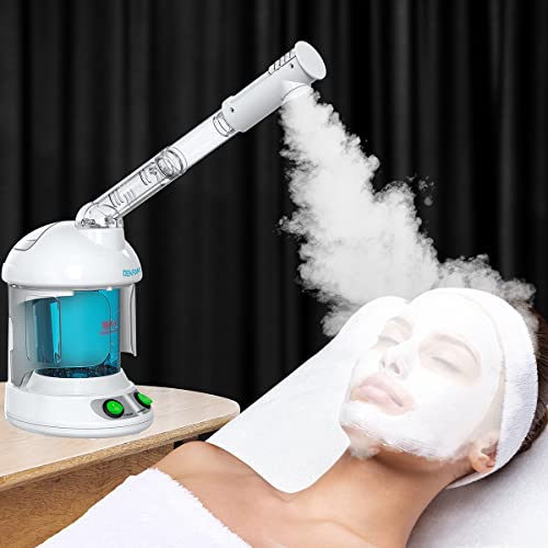 Denfany 2-in-1 Hair & Facial Steamer with 360° Arm