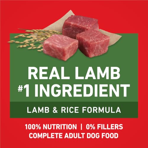 Purina ONE Lamb and Rice Dry Dog Food 31.1 lb for Digestive Support