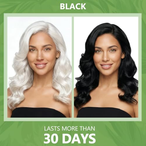 HIS&HERCHOICE Black Hair Dye Shampoo 3-in-1 Gray Coverage, Natural Black