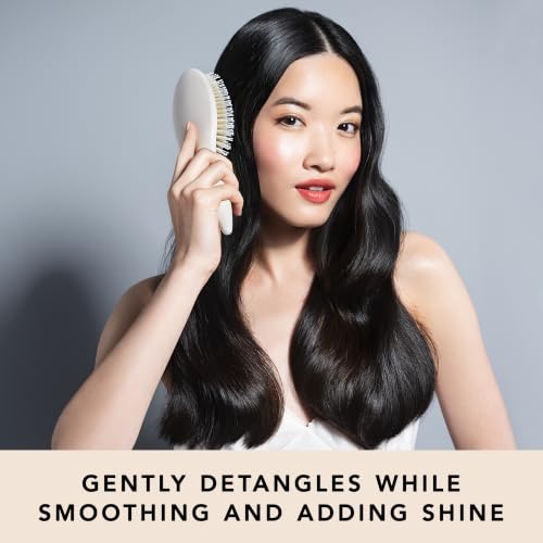 Boar Bristle Hair Brush - Detangling & Shine | The Hair Edit