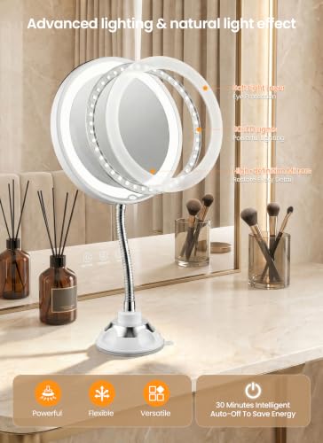 Brightown 10x Magnifying Makeup Mirror with Lights - Silver, 3 Light Modes, White Variation