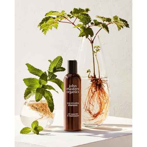 John Masters Organics Scalp Stimulating Shampoo 16 oz | Organic Spearmint & Meadowsweet | 70% Organic Ingredients | Clarifying Shampoo | Improve Scalp Health | Sulfate-free, 16 Fl Oz