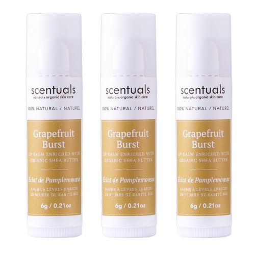 Lip Balm Set of 3, Made with Shea Butter, Cocoa Butter, Castor, Avocado & Jojoba oil, Beeswax, Vitamin E and Essential oil, Moisturizing Lip Care, Cruelty Free Hydration, 100% Natural (3 Pack)
